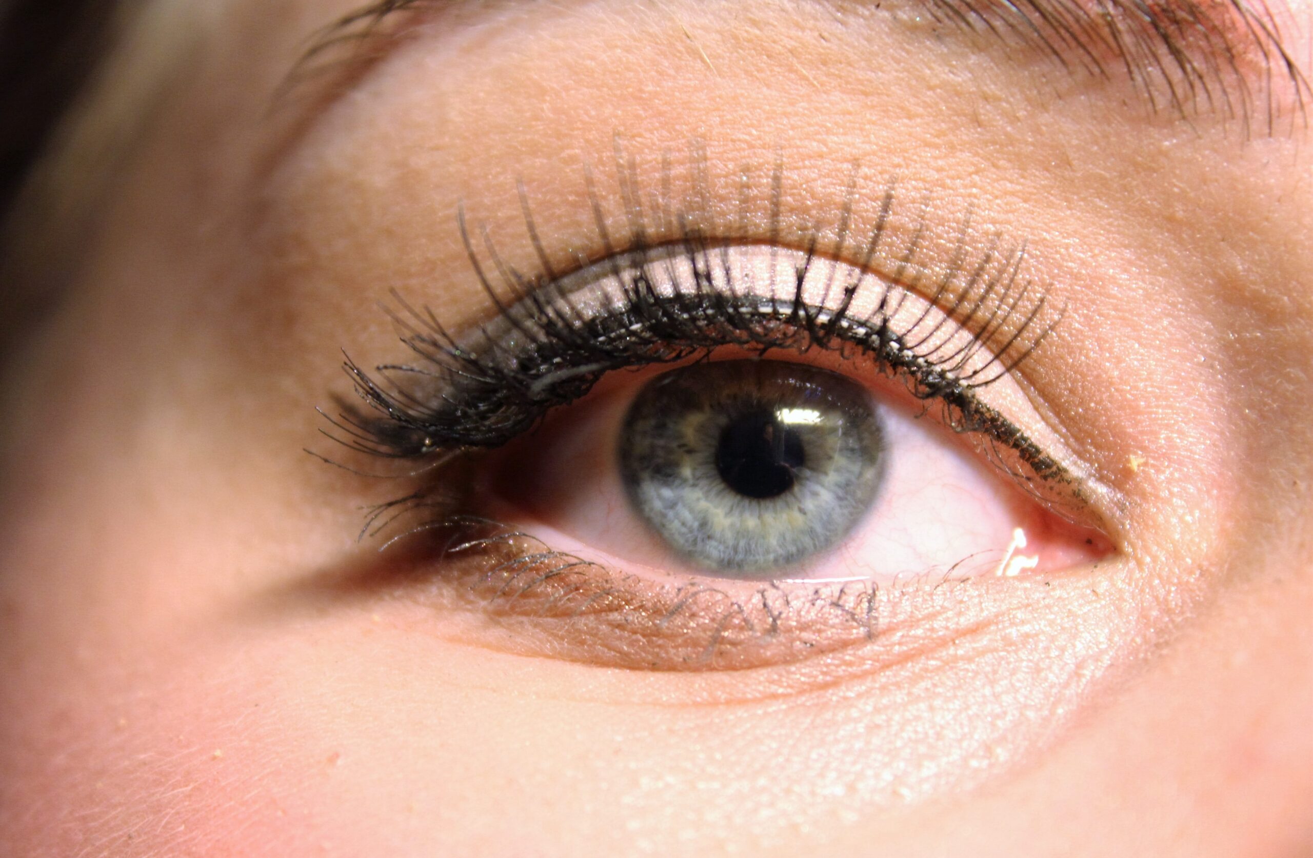 Wimpern